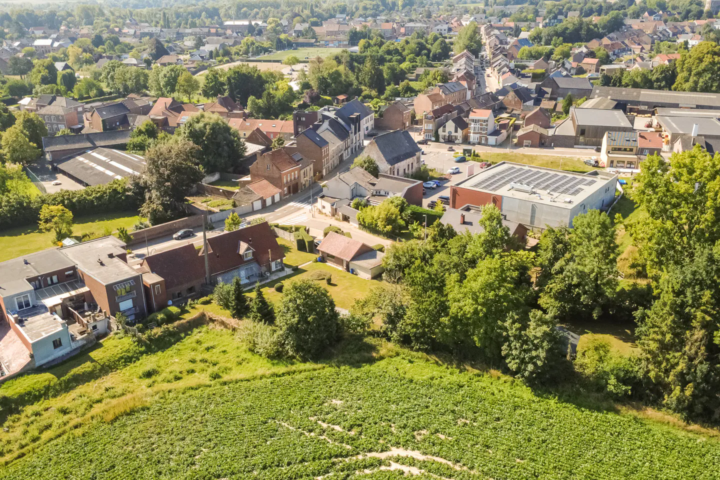 Aerial view of a small town with brick buildings, green trees, and a field in the foreground on a sunny day.