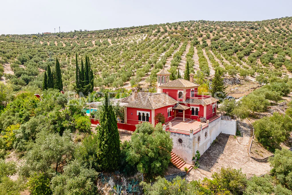Spectacular Finca with 33 ha of olive trees in Baena