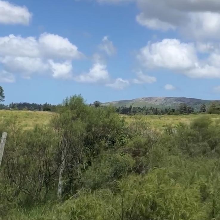 Chacra  in Abra de Perdomo