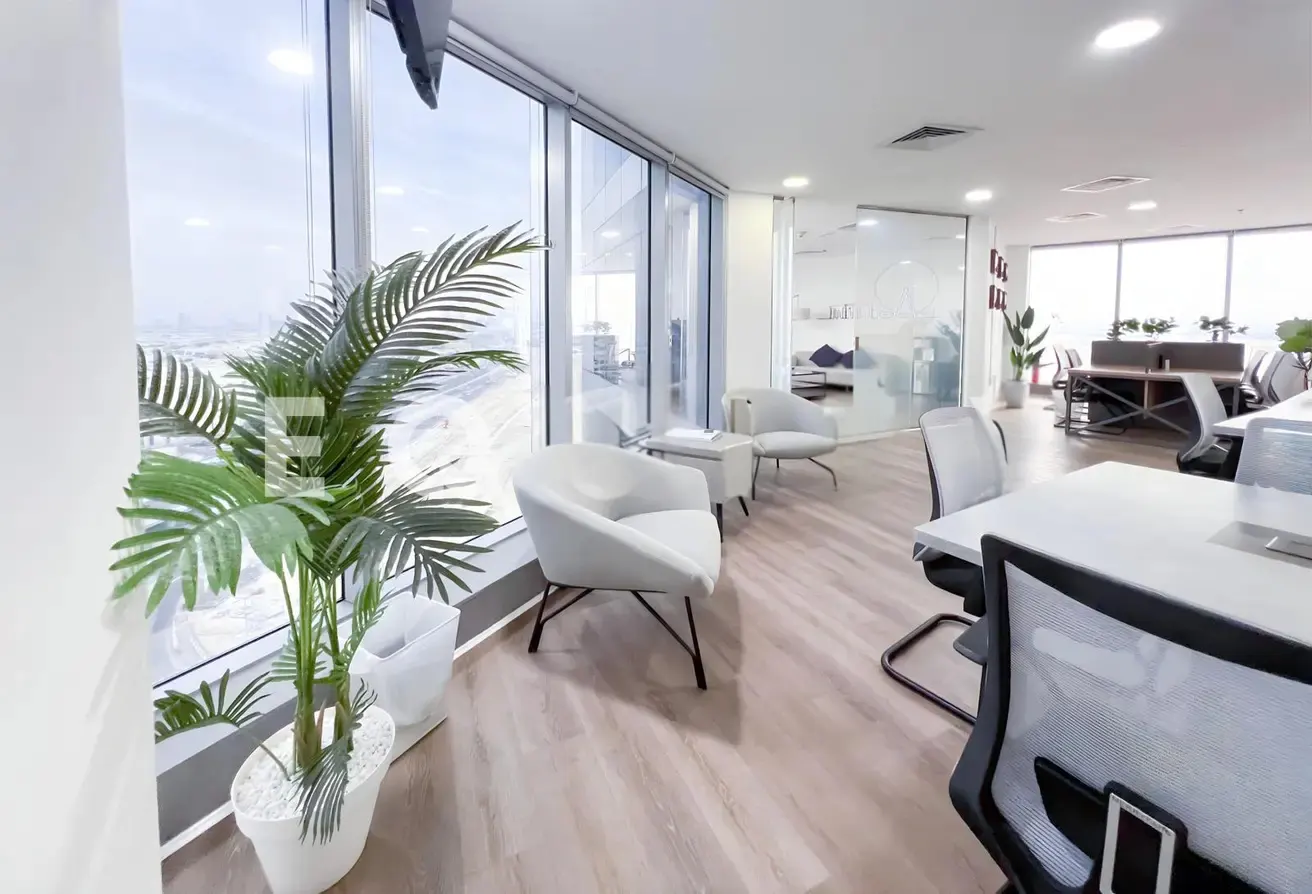 Bright office space with light wood floors, white walls, and large windows. Modern white chairs and desks are arranged throughout the room. A potted palm adds a touch of greenery.