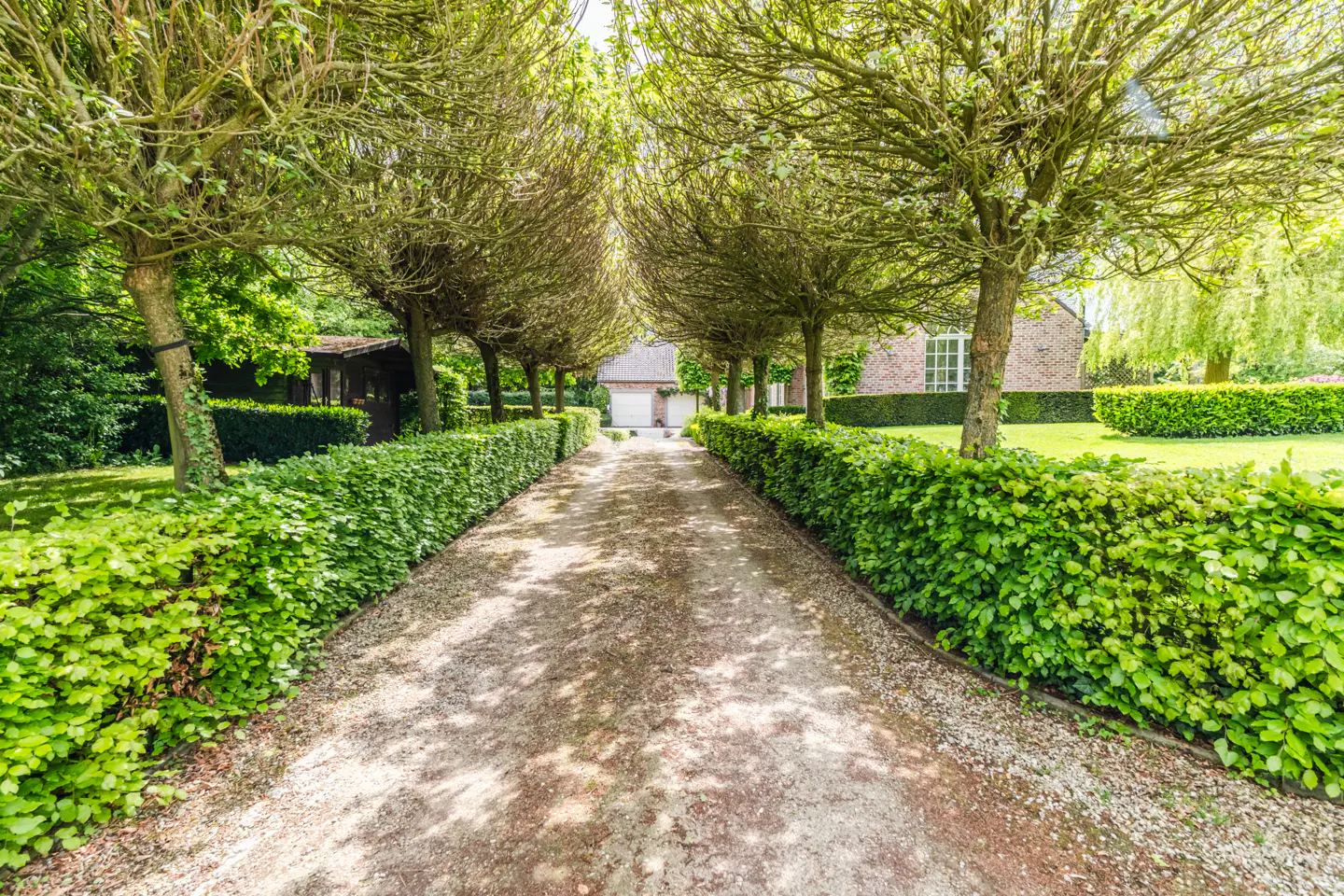 Gravel driveway lined with green hedges and trees leading to a brick house with a white garage door.