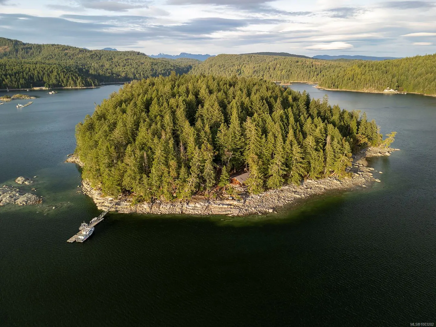 Aerial view of a tree-covered island in a lake, with a dock and boat visible on one side. A small cabin is nestled among the trees.