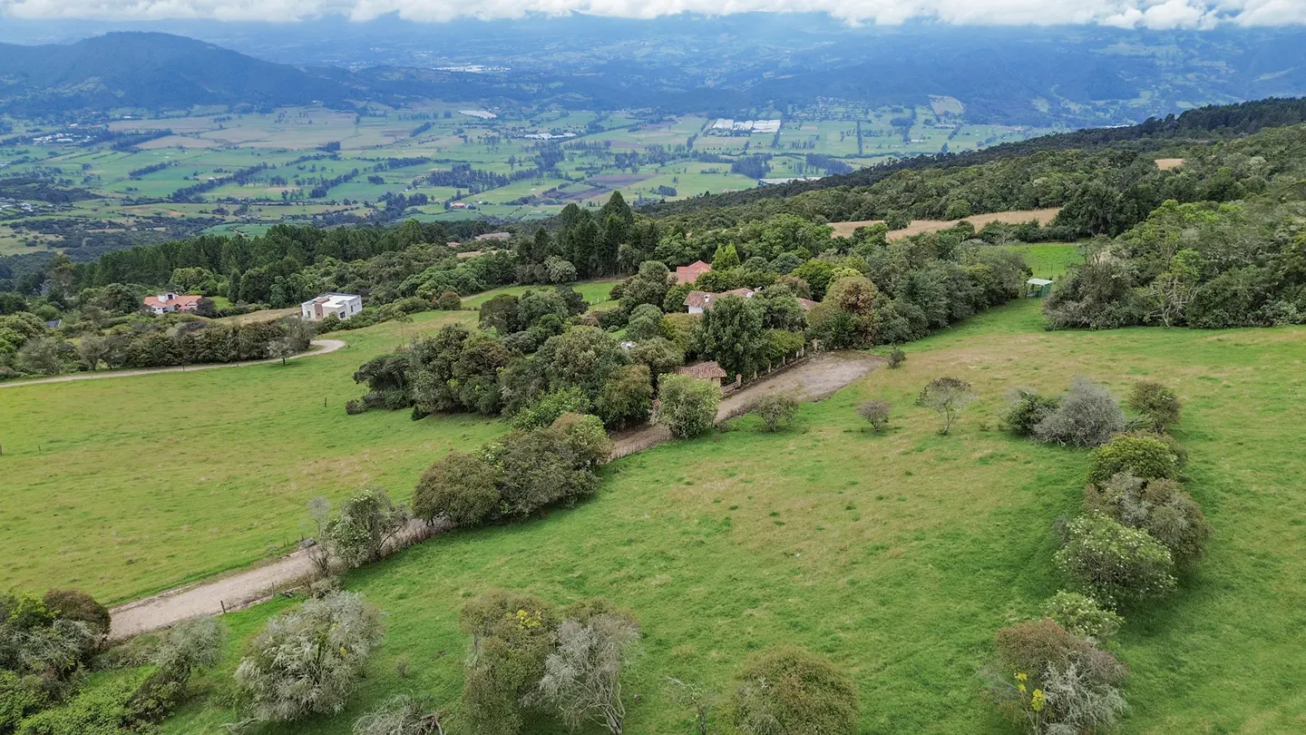 Aerial view of green rolling hills with scattered trees and houses, mountains in the distance.