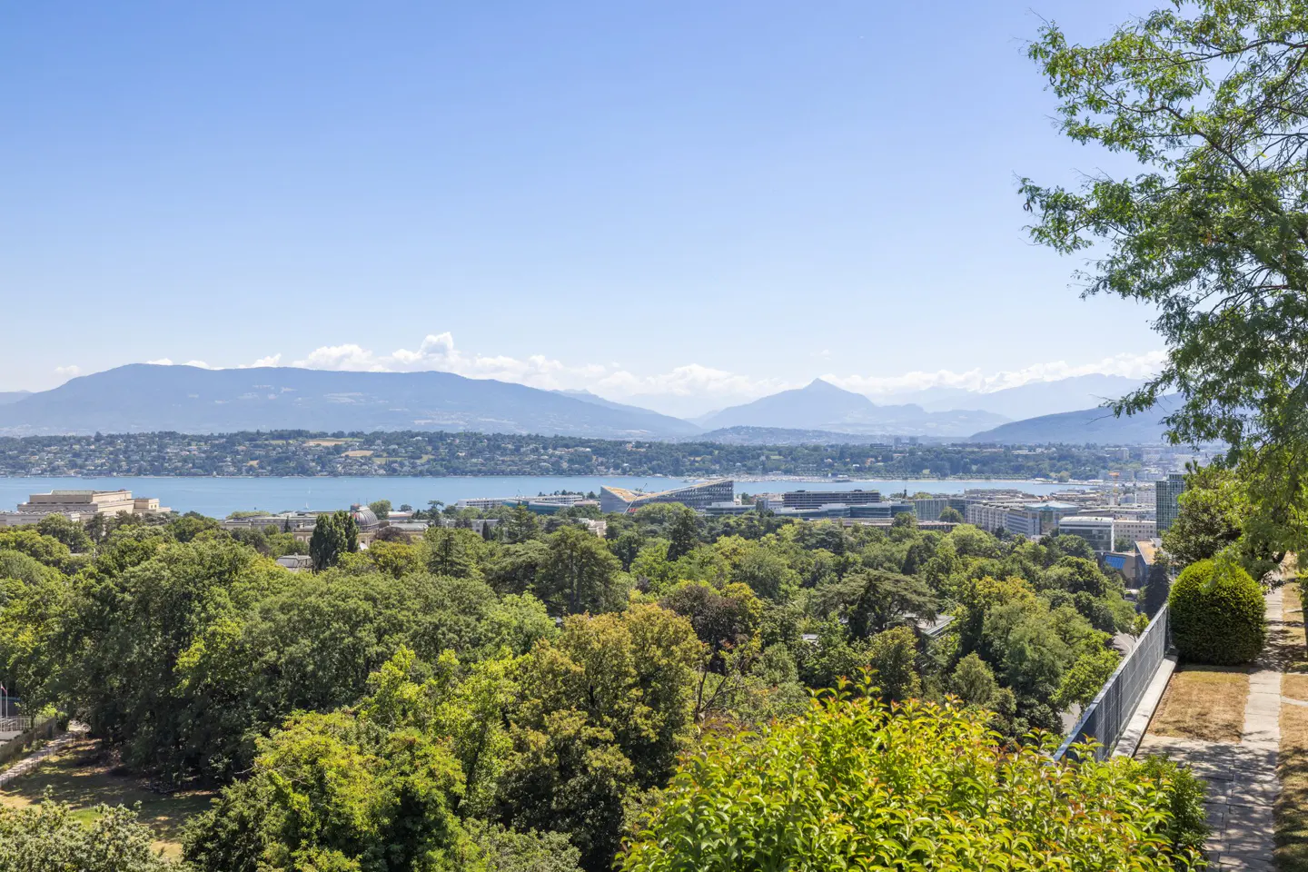 Scenic view of Geneva, Switzerland, featuring Lake Geneva, the city skyline, lush green trees, and distant mountains under a clear blue sky.