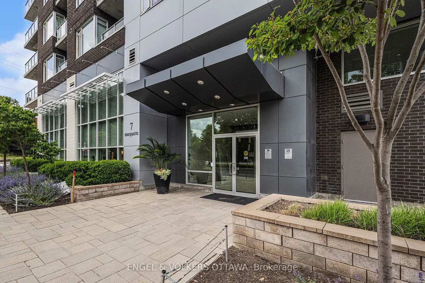 Exterior view of a modern apartment building entrance with glass doors and landscaping. Building address is "7 Marquette".