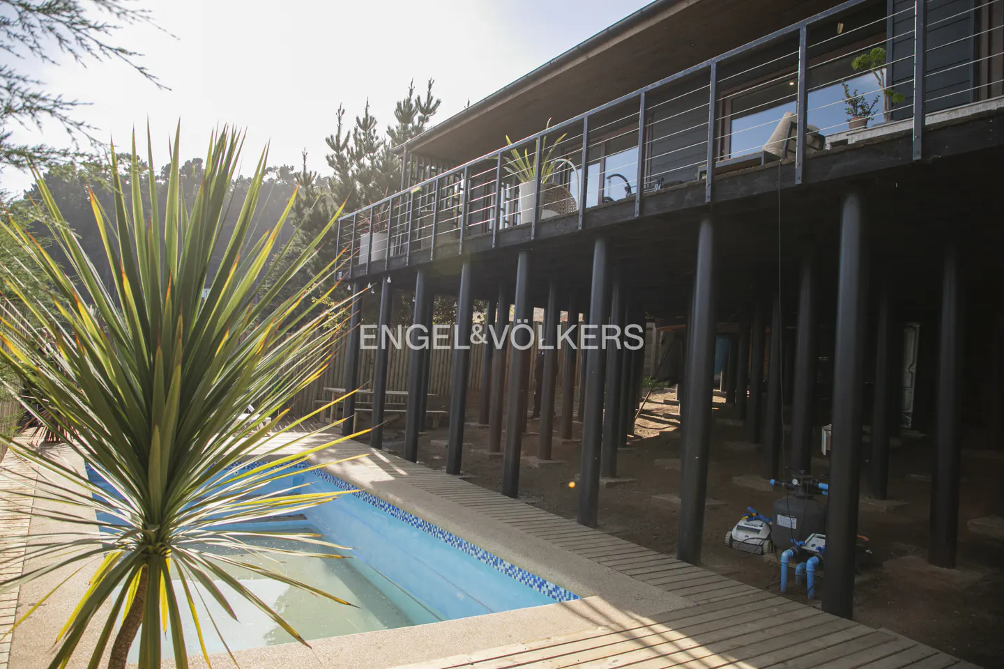 A modern house on stilts with a balcony overlooking a backyard swimming pool and a spiky green plant in the foreground.