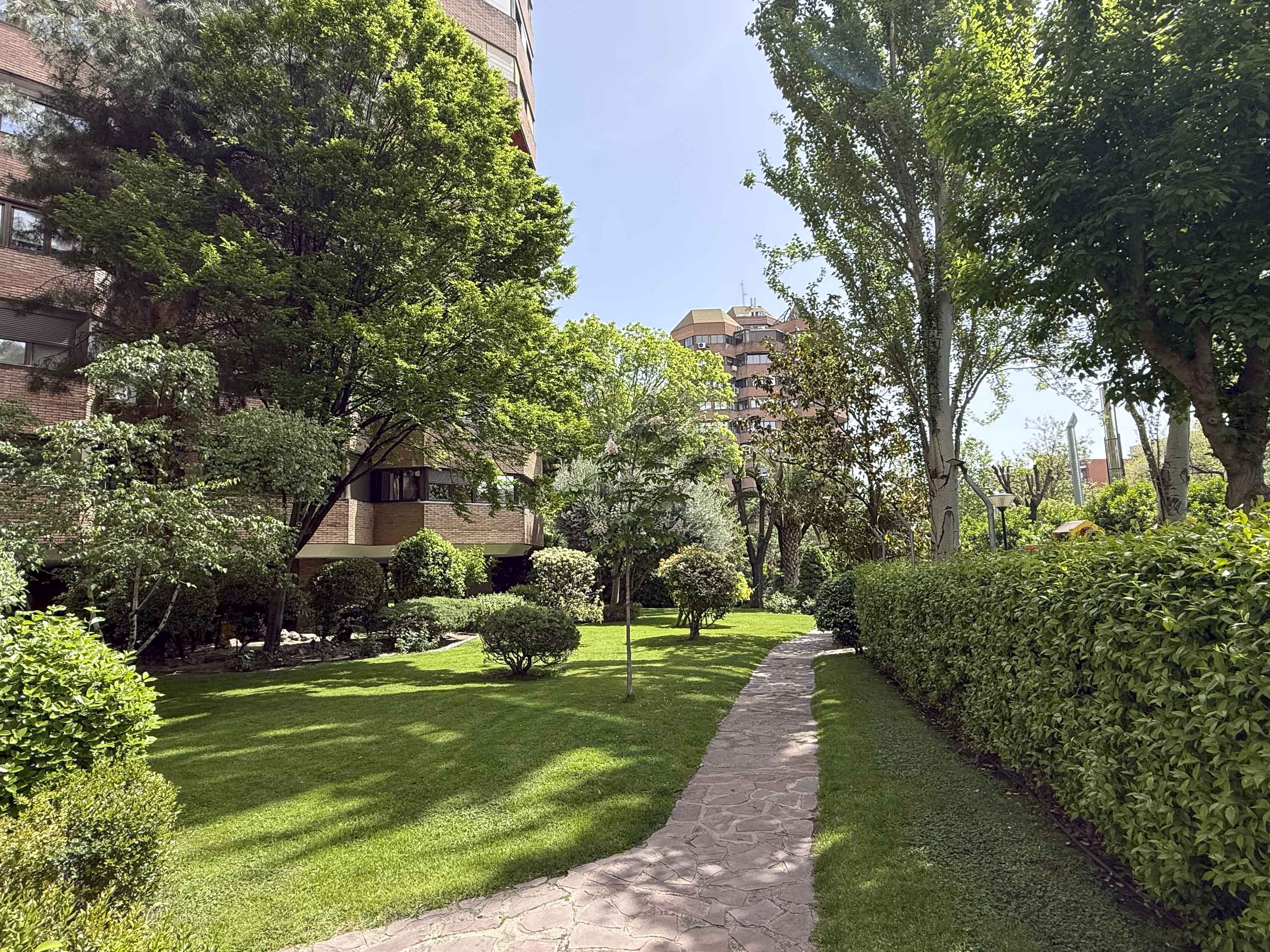 Unique property in New Spain