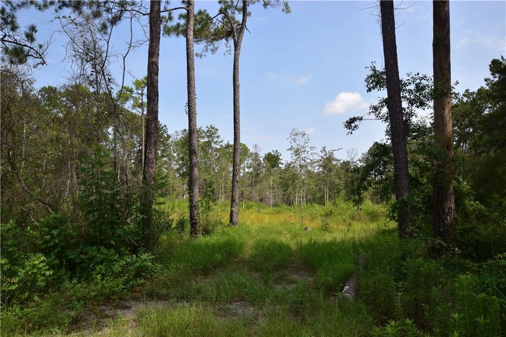 Build Your Dream Home on 2.5 Acres