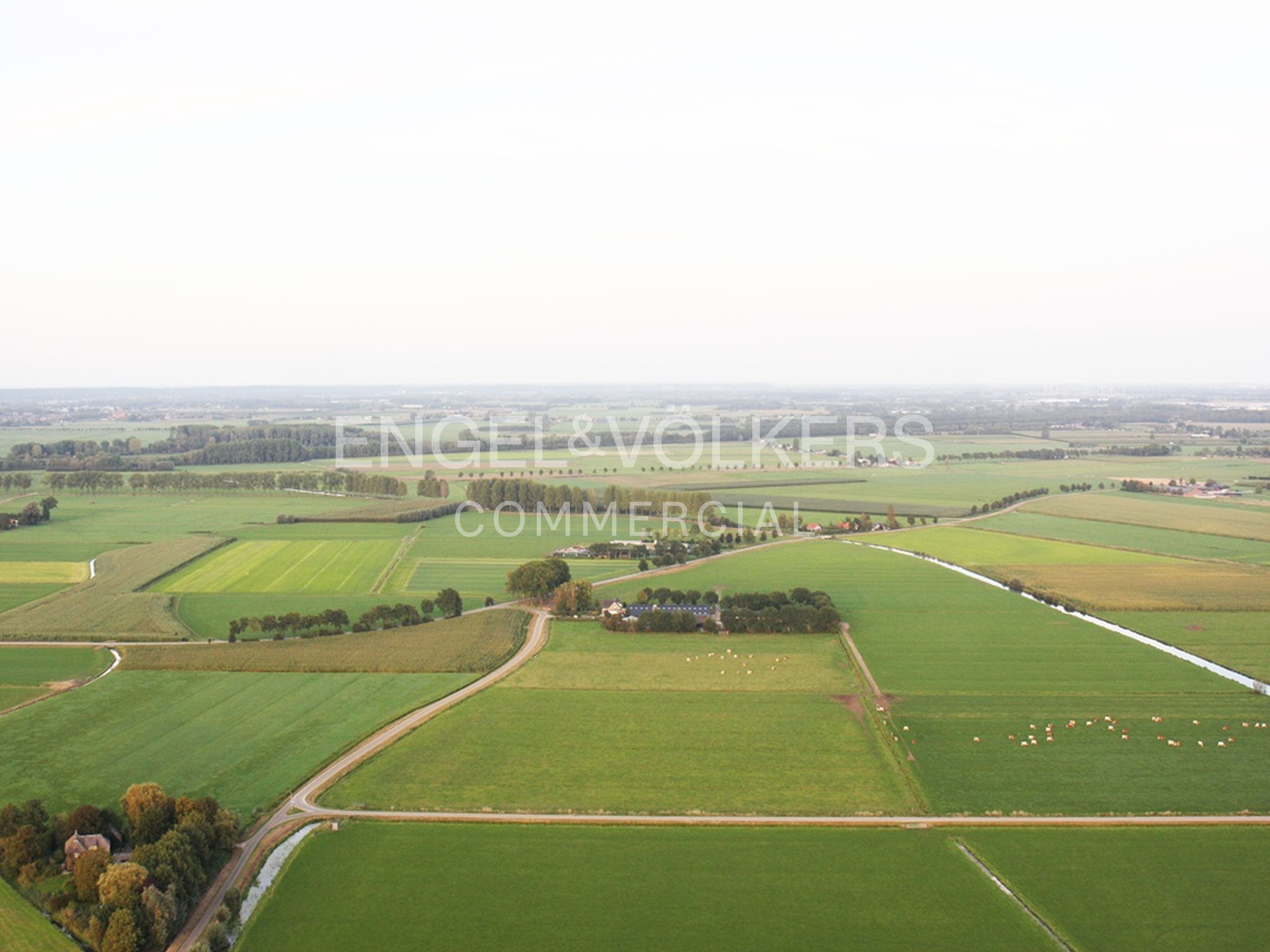 Terreno industriale in Vendita a Cremona
Ottima Opportunità di Investimento
