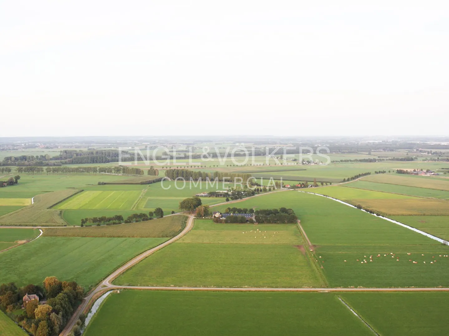 Aerial view of green farmland with fields, trees, and a few buildings under a bright sky.