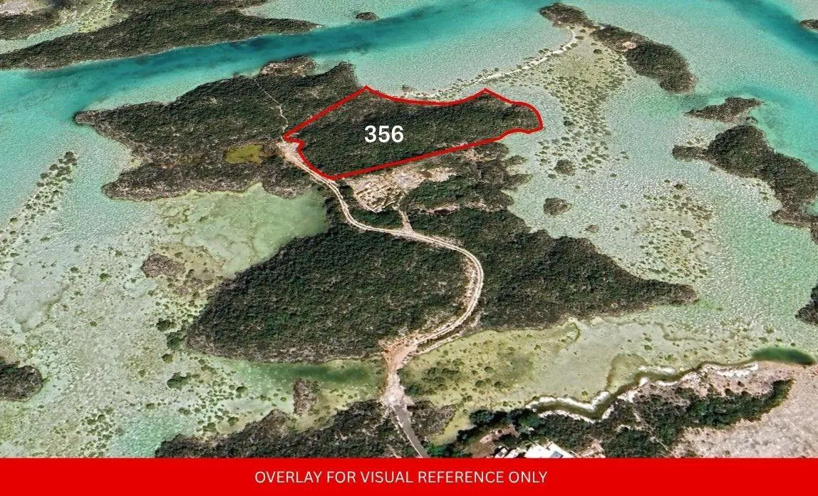 Aerial view of a wooded island with turquoise water. Lot 356 is outlined in red. A road winds through the trees.