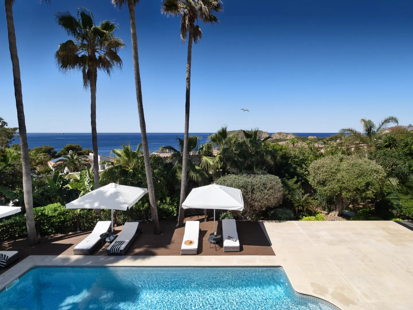 A high-angle shot of a pool with lounge chairs, umbrellas, palm trees, and ocean views.