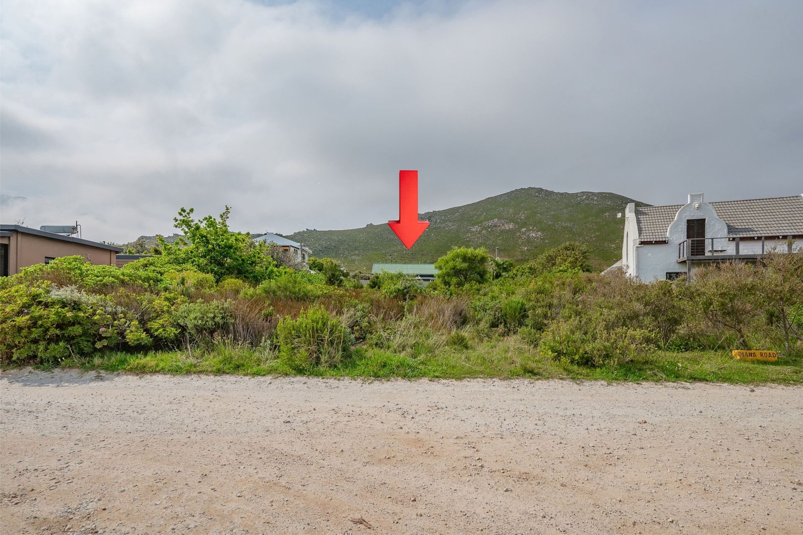 A stand apart...Your place in the fynbos
