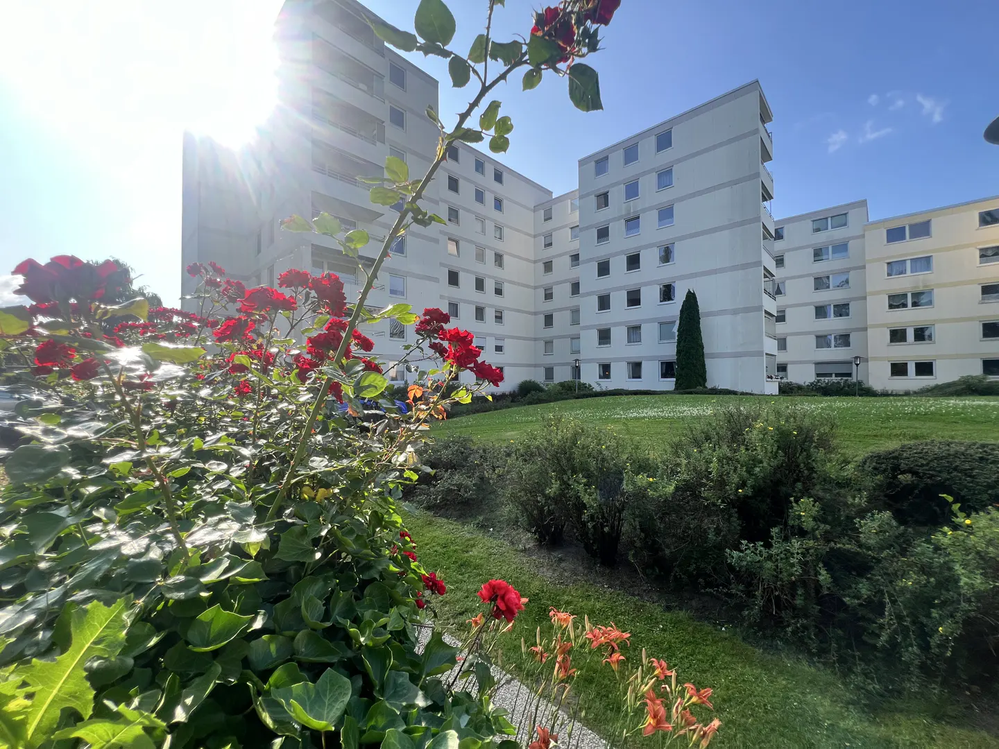 Exterior view of a white apartment building with red roses in the foreground.