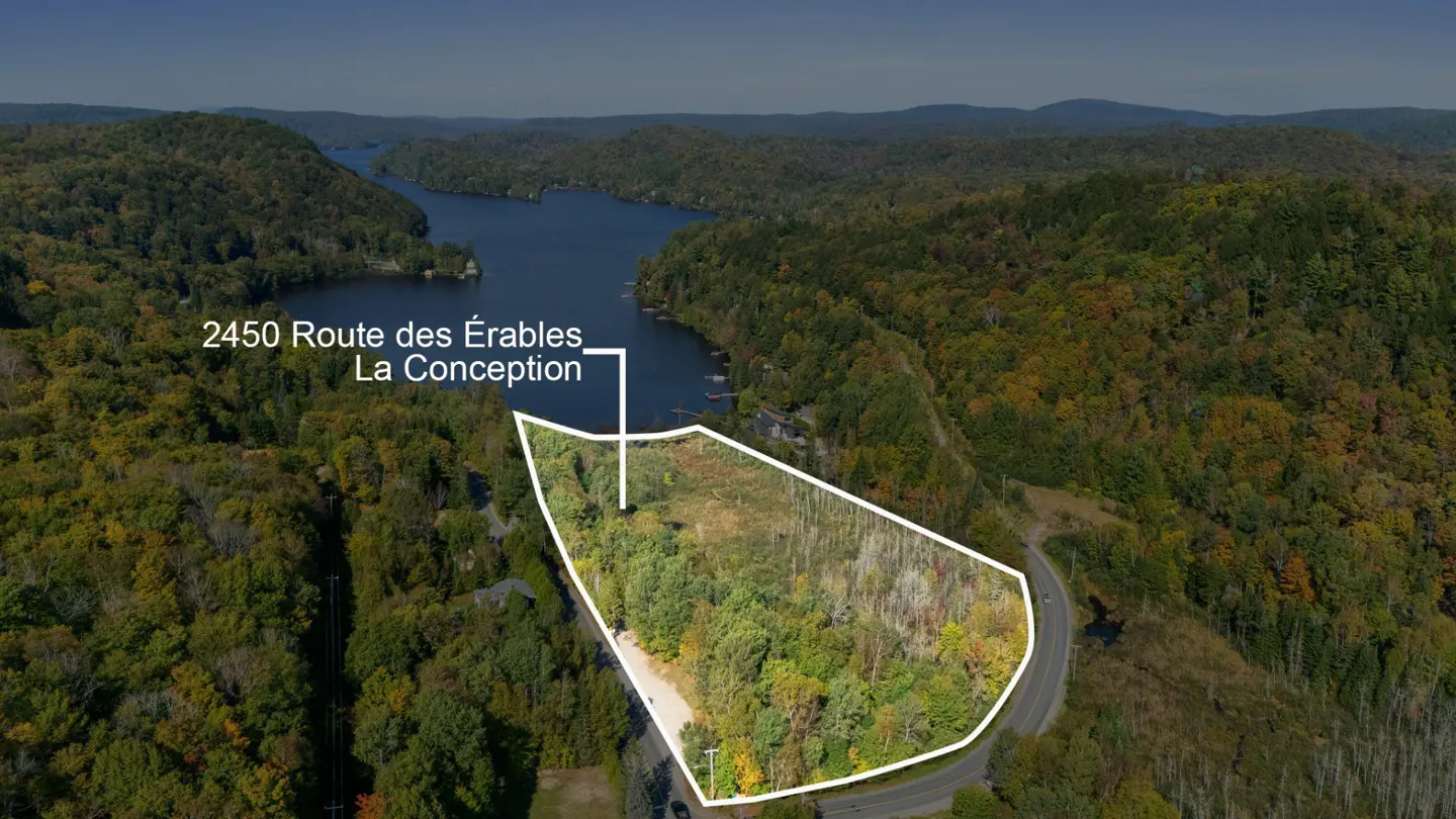 Aerial view of a wooded lot outlined in white, near a lake and road. Address: 2450 Route des Érables, La Conception.