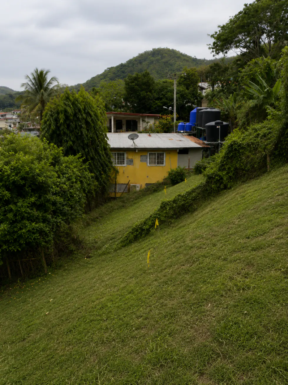 A yellow house sits on a grassy hill, surrounded by lush green trees and foliage. Blue water tanks are visible on the roof.