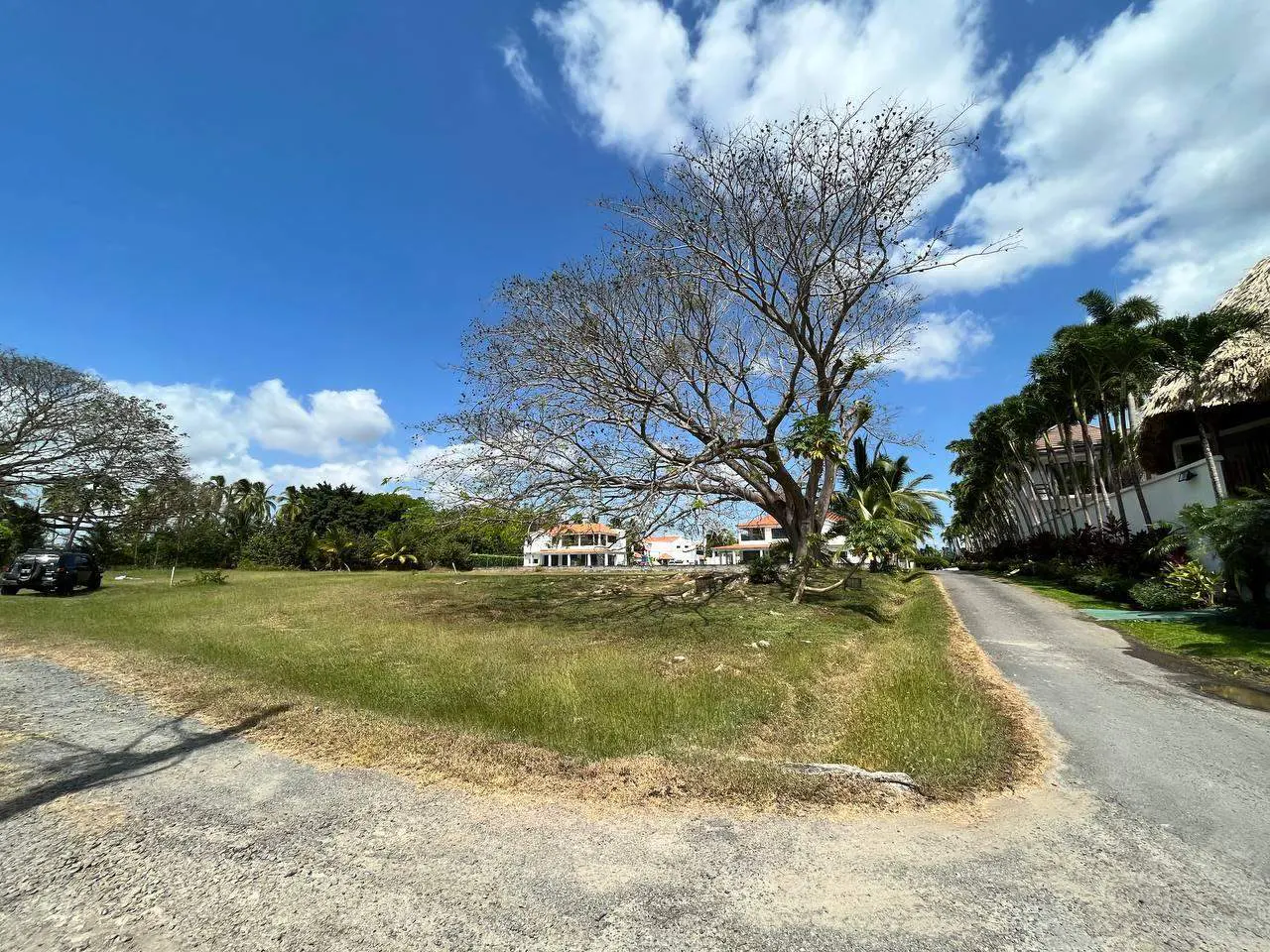 Real estate lot with a large tree, green grass, and a gravel road under a blue sky with white clouds.