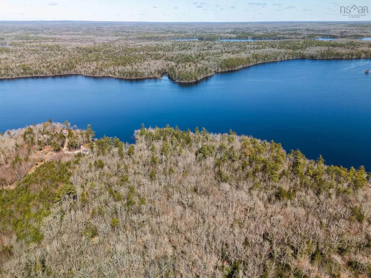 Aerial view of a blue lake surrounded by dense forest under a clear sky.