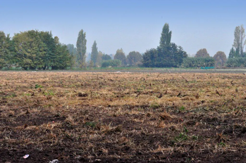 A field of brown dirt and dry grass stretches to a line of trees under a hazy blue sky.
