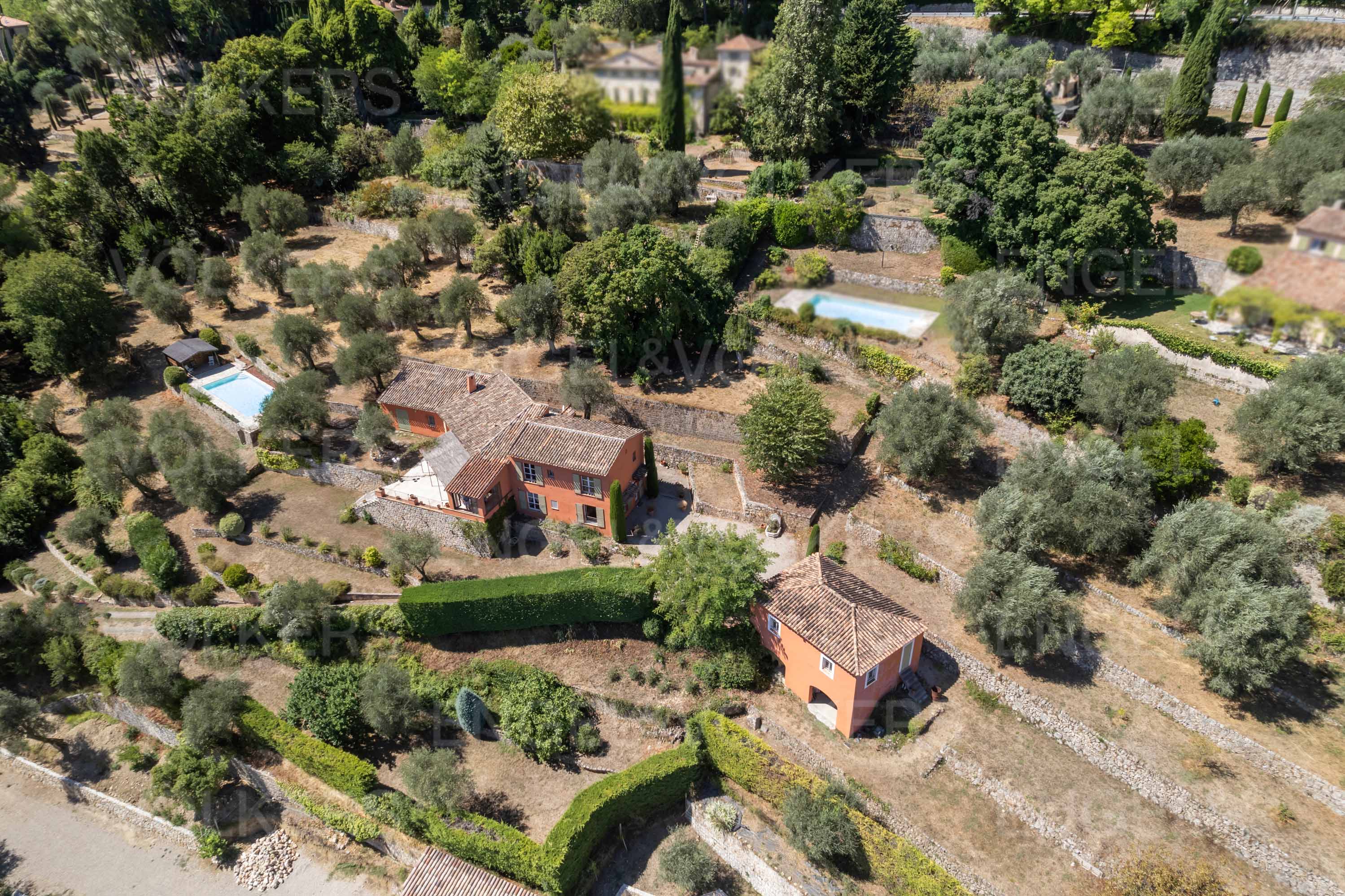 Estate on large plot with olive trees, pool, and outbuilding