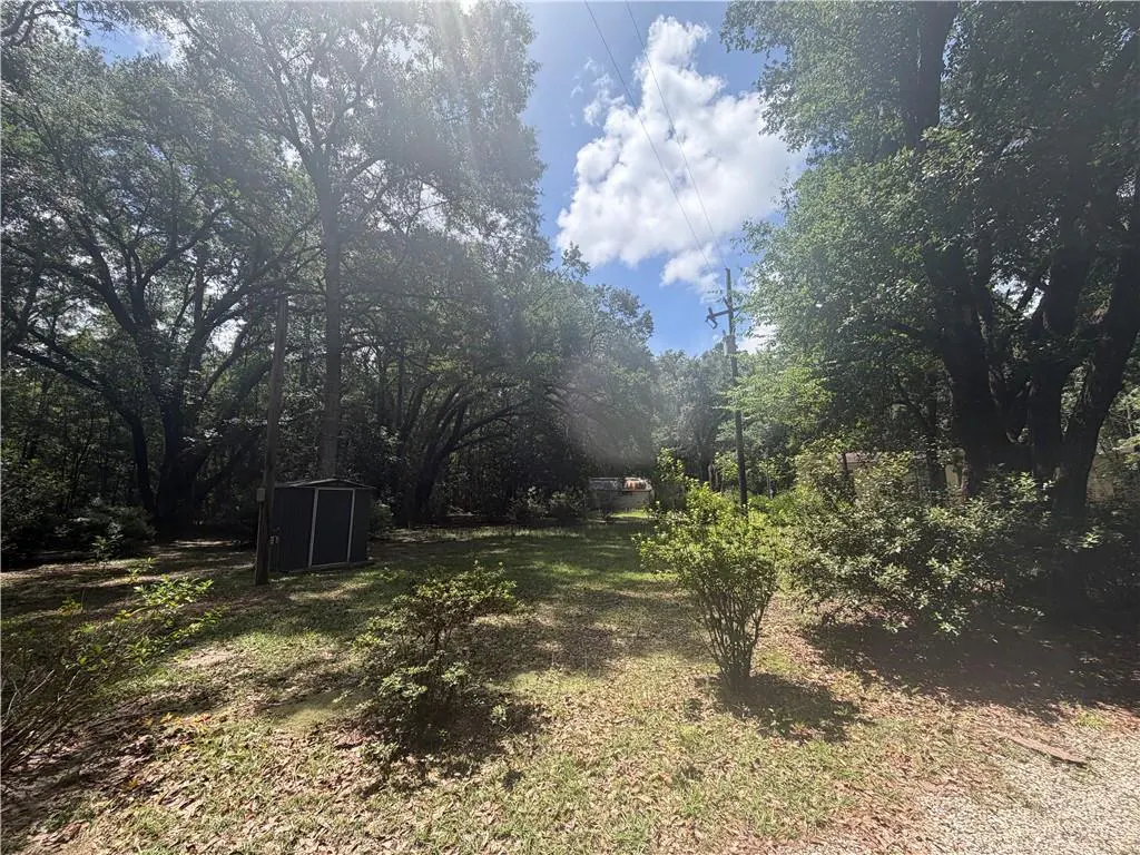 A wooded lot with green grass, trees, and a blue sky with white clouds. A small shed is on the left.