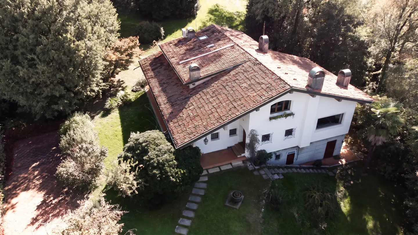 [AI-generated photo]