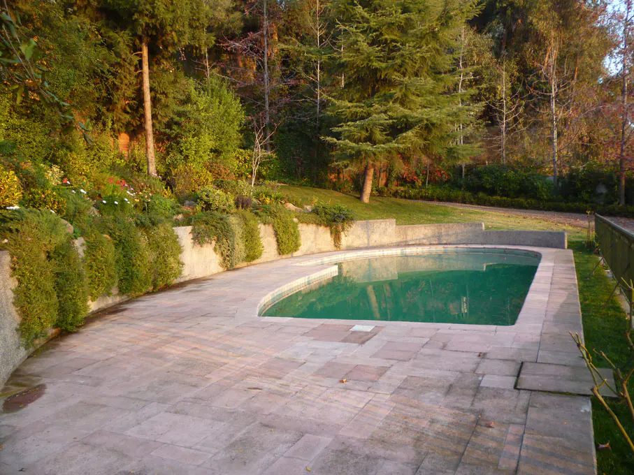 A kidney-shaped pool with green water is surrounded by a stone patio and lush greenery.