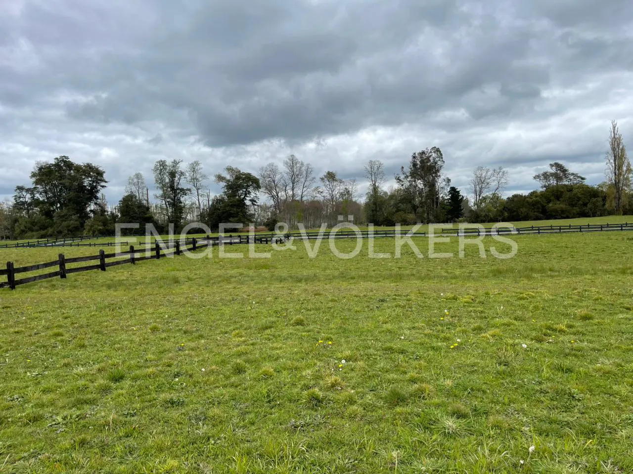 A green field with a dark wooden fence and trees under a cloudy sky.