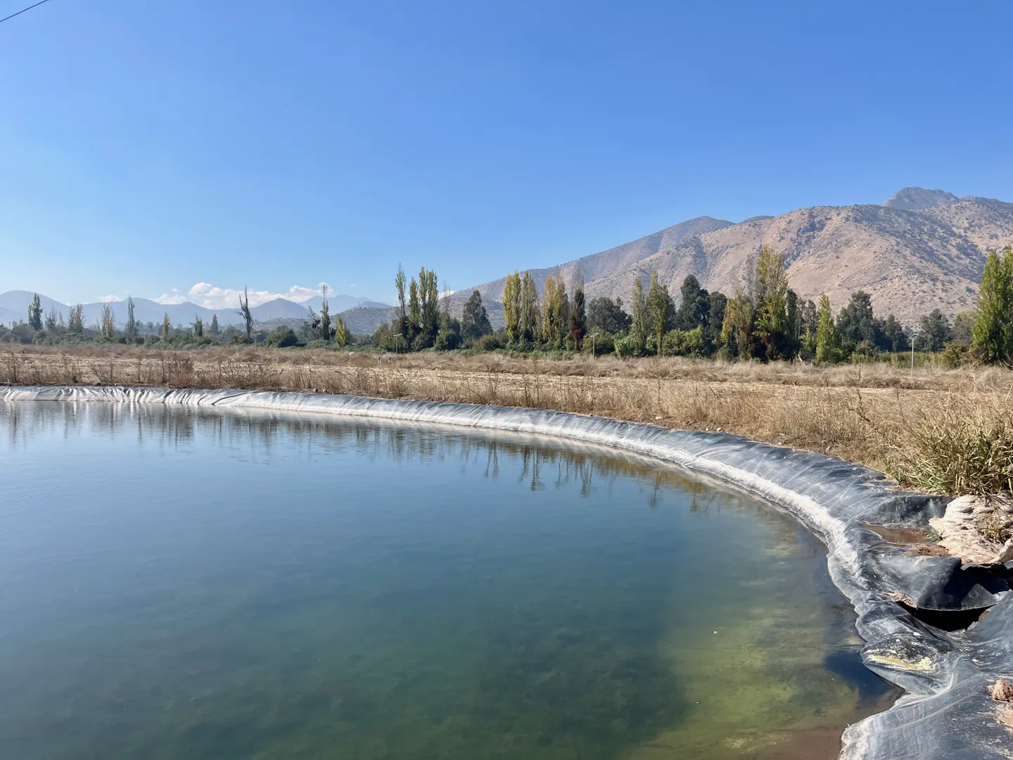 A large, blue, plastic-lined pond sits in a field with trees and mountains under a clear blue sky.