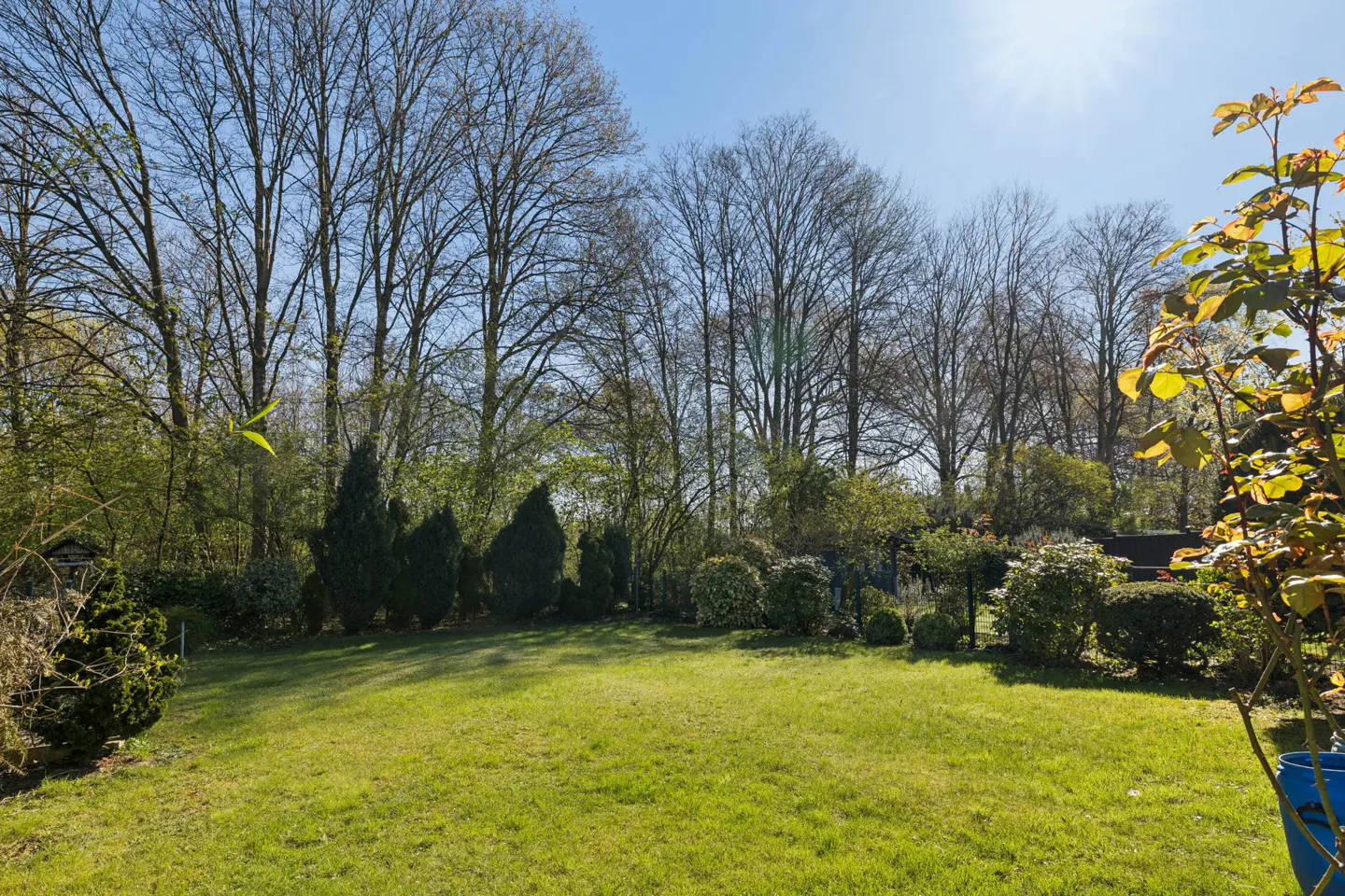 A lush green lawn is surrounded by trees and bushes under a bright blue sky.