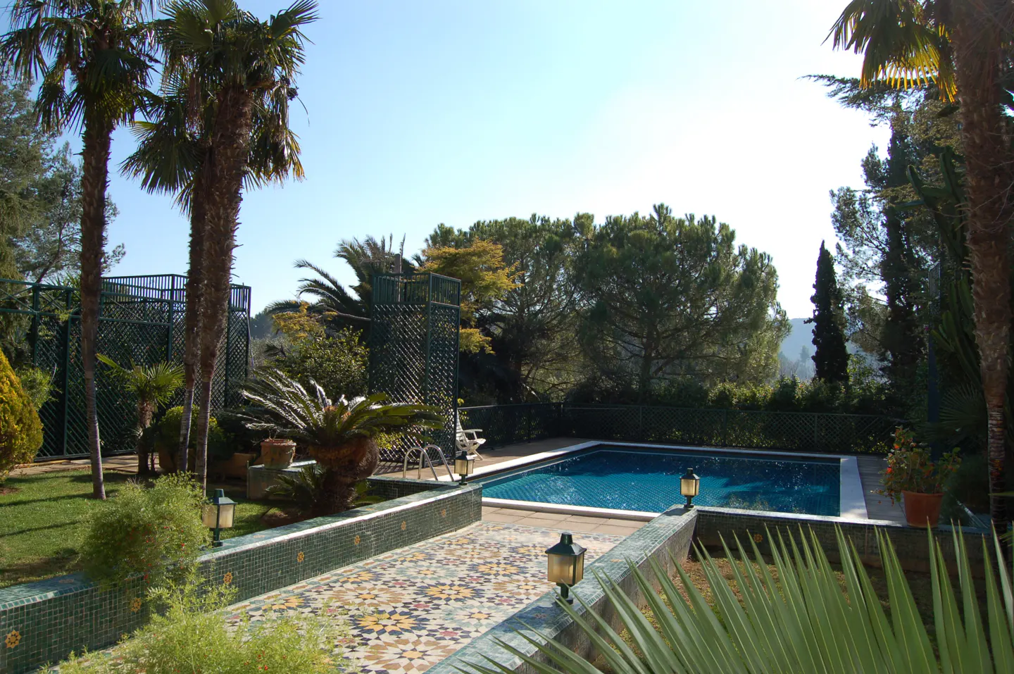 A backyard with a blue swimming pool, palm trees, and a mosaic tile walkway on a sunny day.
