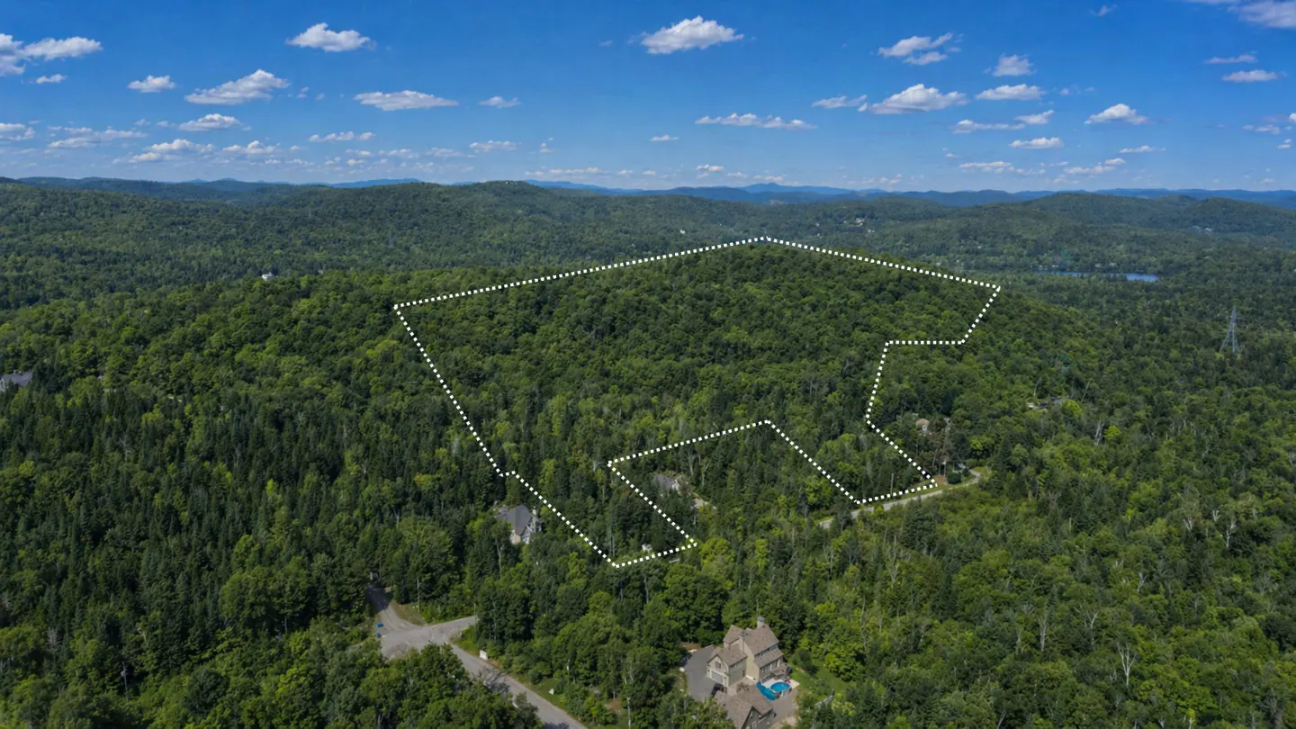 Aerial view of a large wooded lot outlined in white, with a house visible at the bottom. Blue sky with scattered clouds.