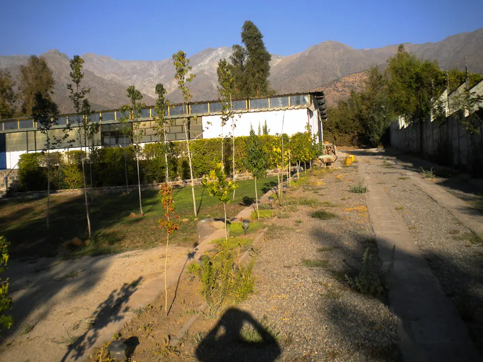 Exterior view of a white building with a glass facade, set against a backdrop of mountains and a blue sky. A row of young trees lines the front of the building.