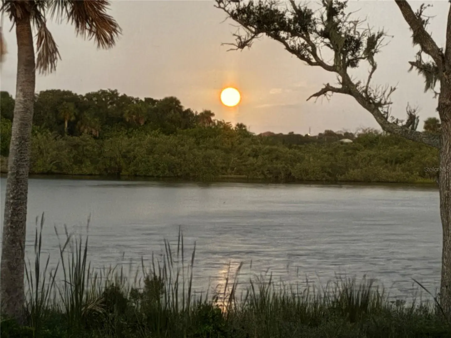 Sunset view over a calm river, framed by trees and tall grass in the foreground.
