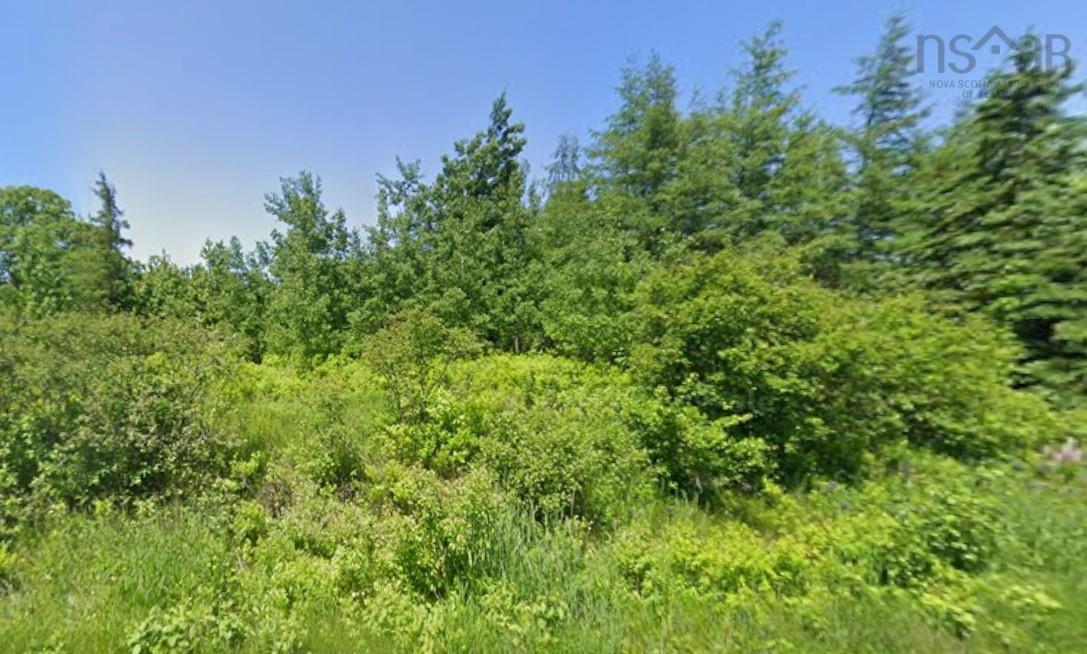 Private 2-Acre Malagash Lot: Build Near Jost Vineyards