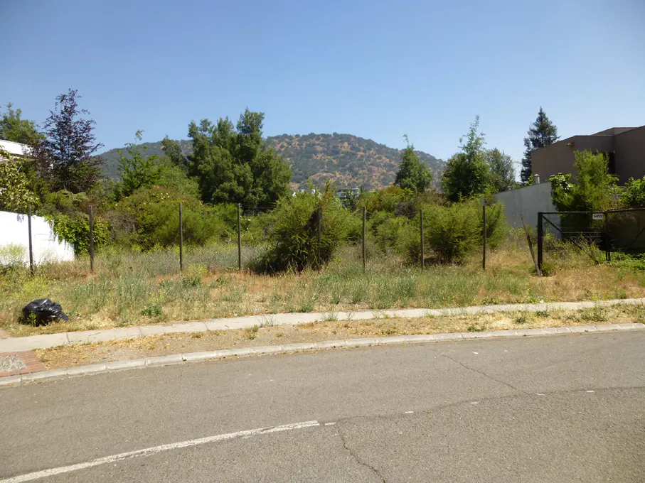 Vacant lot with overgrown weeds and shrubs, fenced in, with a mountain in the background.