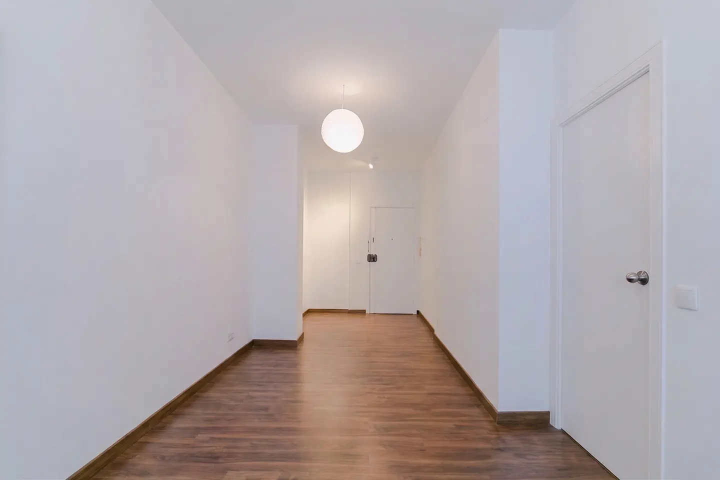 [AI-generated photo]