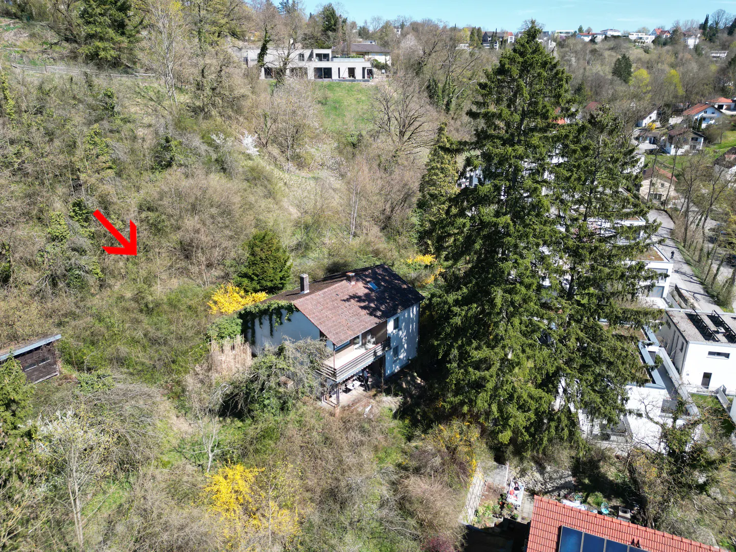 Aerial view of a white house with a brown roof, surrounded by trees and greenery on a hillside. A red arrow points to a wooded area.
