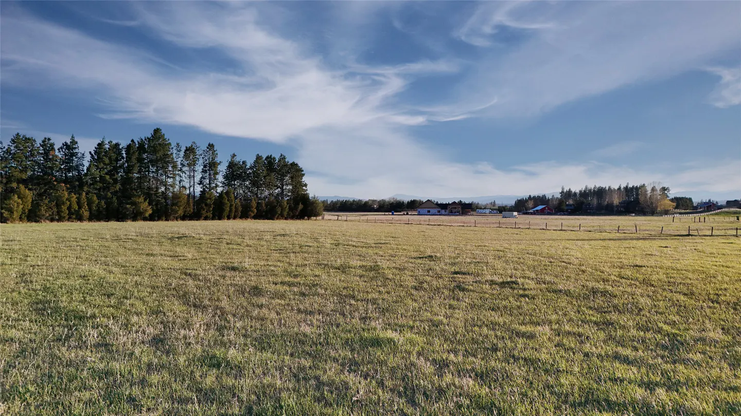 A large grassy field with a line of trees on the left and a blue sky with clouds above.