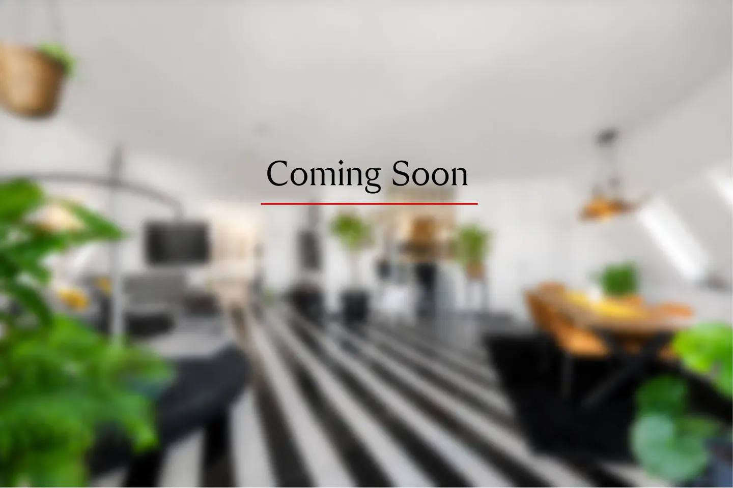 Blurred interior with "Coming Soon" text. Black and white striped floor, plants, and furniture are visible.