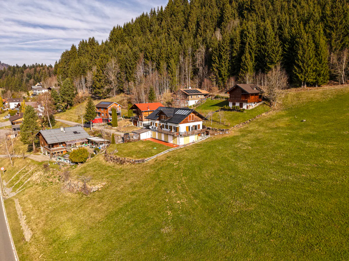 Houses on a green hillside with a forest in the background. The houses are mostly brown and white.