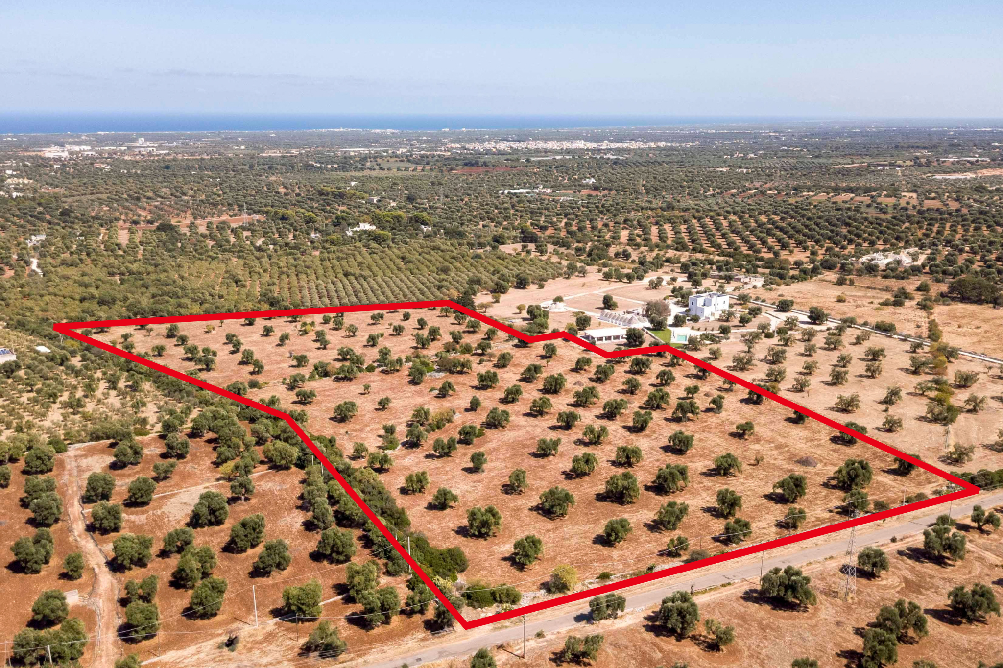 Panoramic Land in the Fasano Countryside