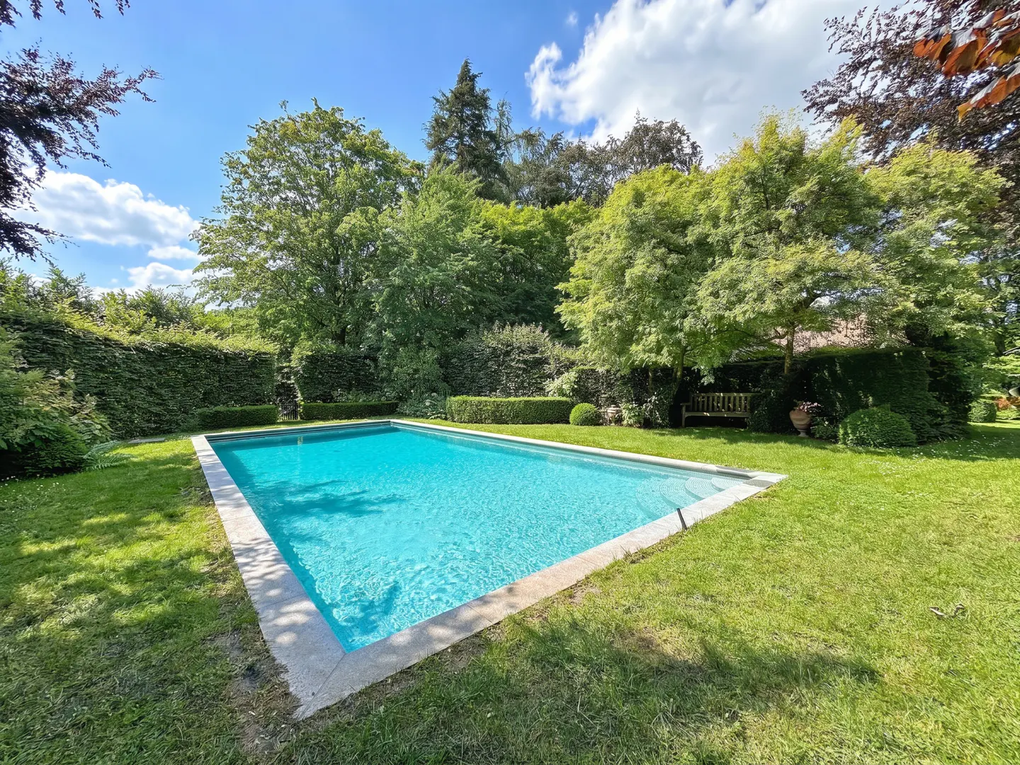 A rectangular turquoise swimming pool set in a lush green backyard with manicured hedges, mature trees, and a wooden bench.