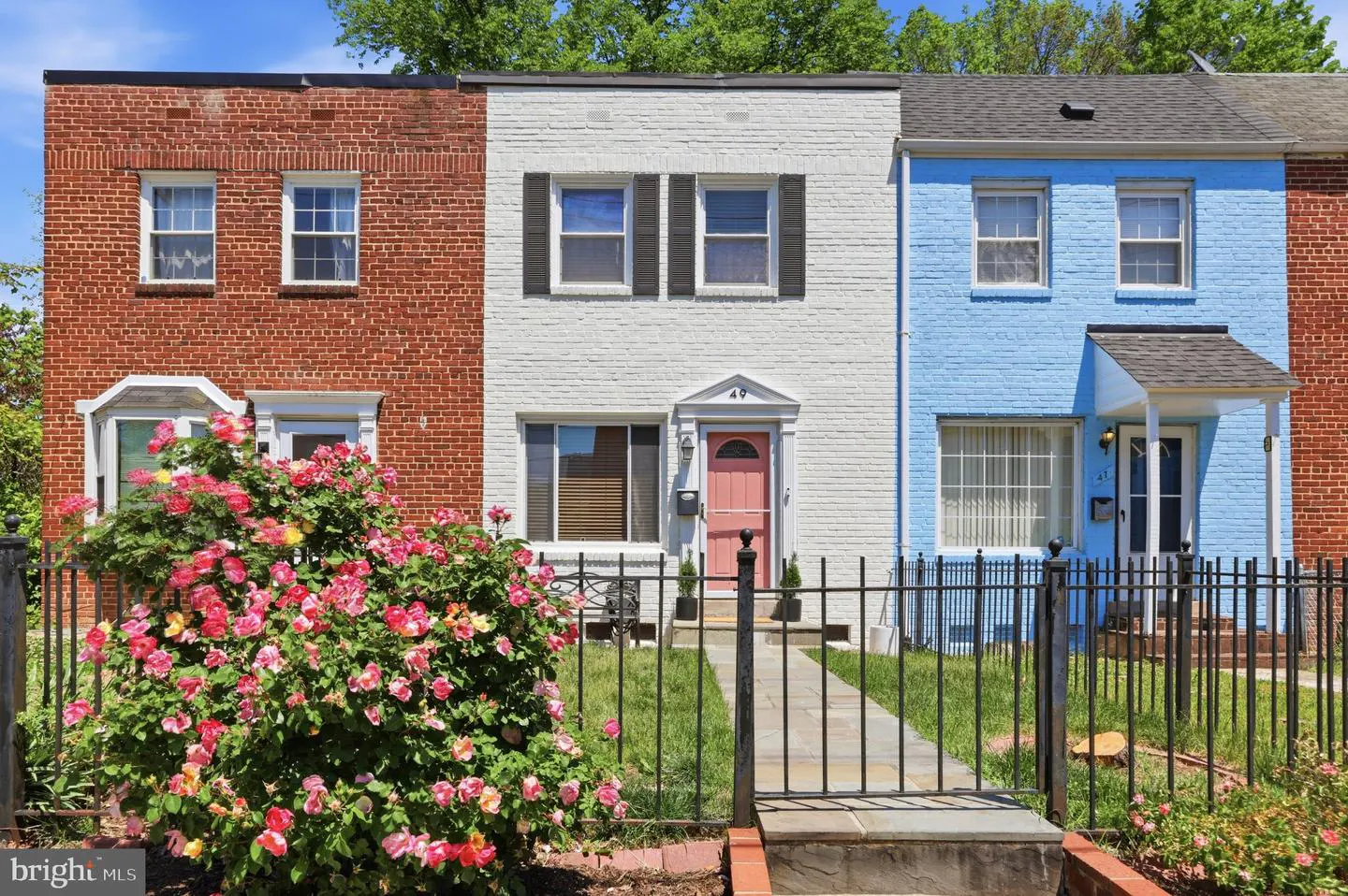 Row houses in red brick, white, and blue, with black fences and a pink rose bush in front.