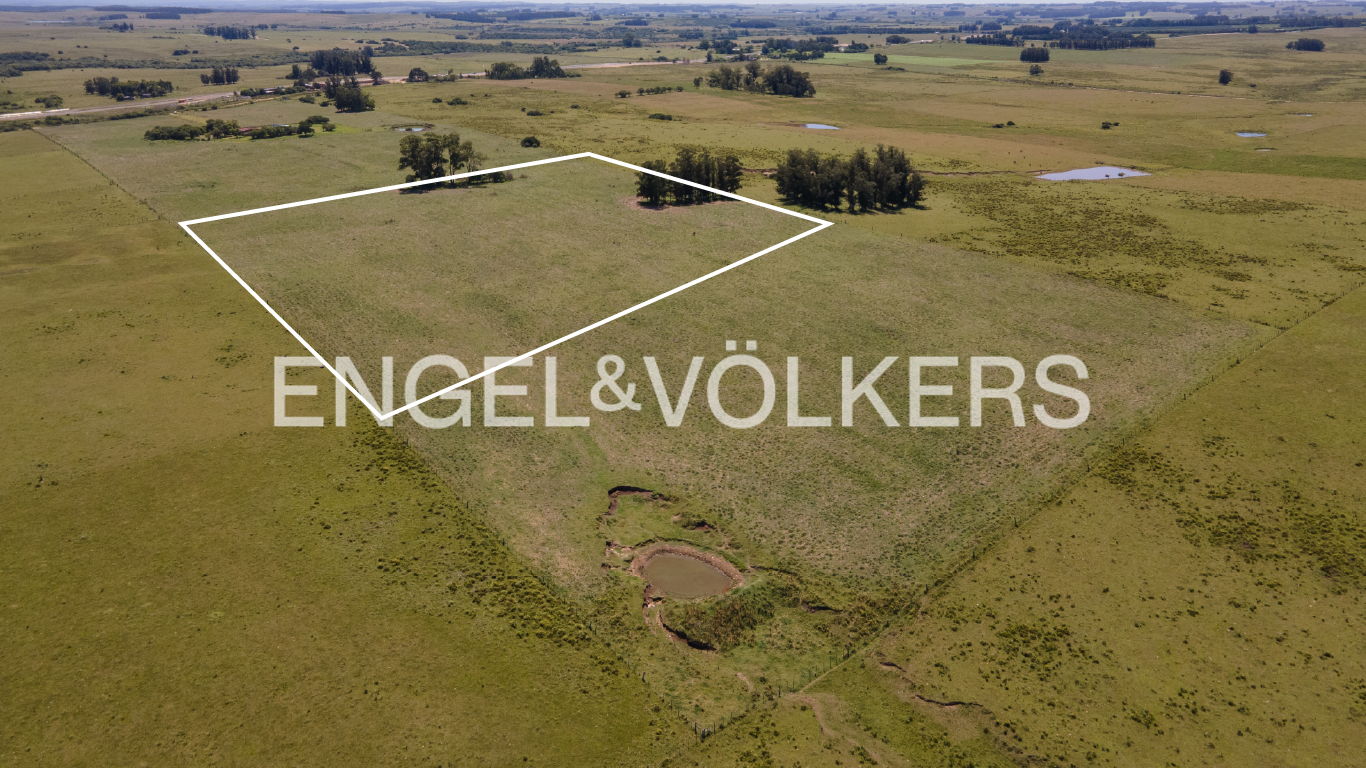 Beautiful 4ha finca just minutes away from José Ignacio