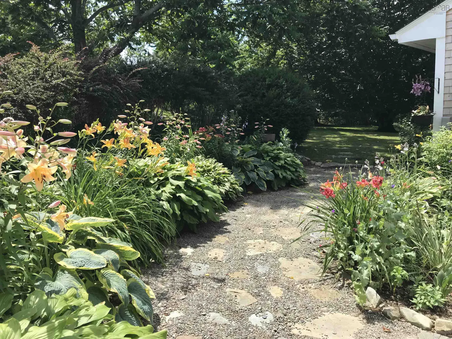 A stone path winds through a lush garden with yellow and orange lilies, hostas, and green foliage. Trees and a house corner are visible in the background.