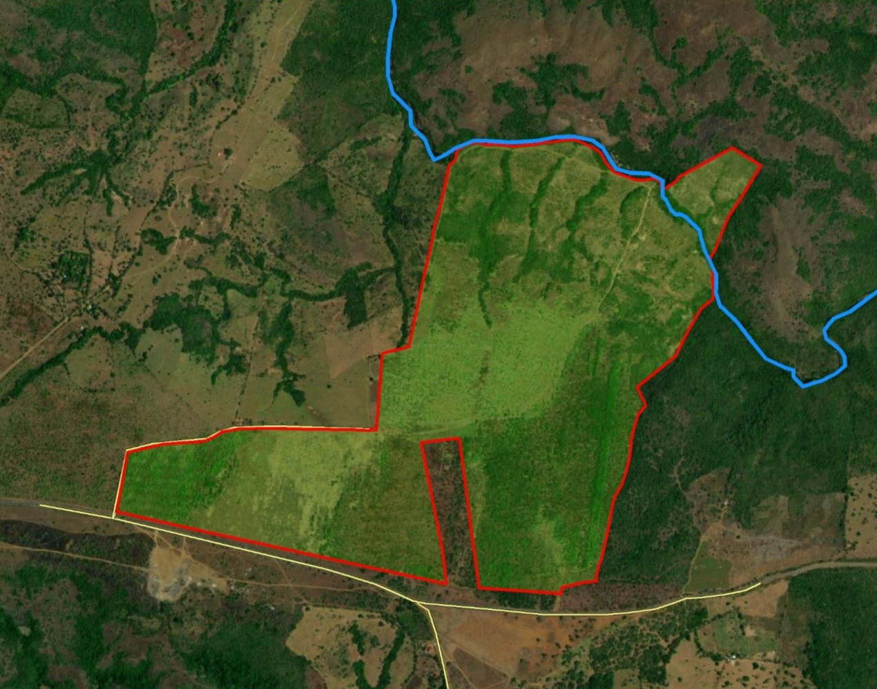 140 Hectares of Productive Land in Veraguas