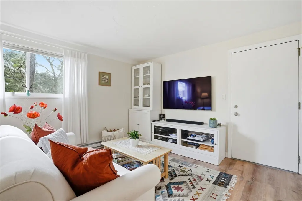 Bright living room with white sofa, orange pillows, TV, white cabinets, and a patterned rug on a wood floor. A window with sheer curtains lets in natural light.