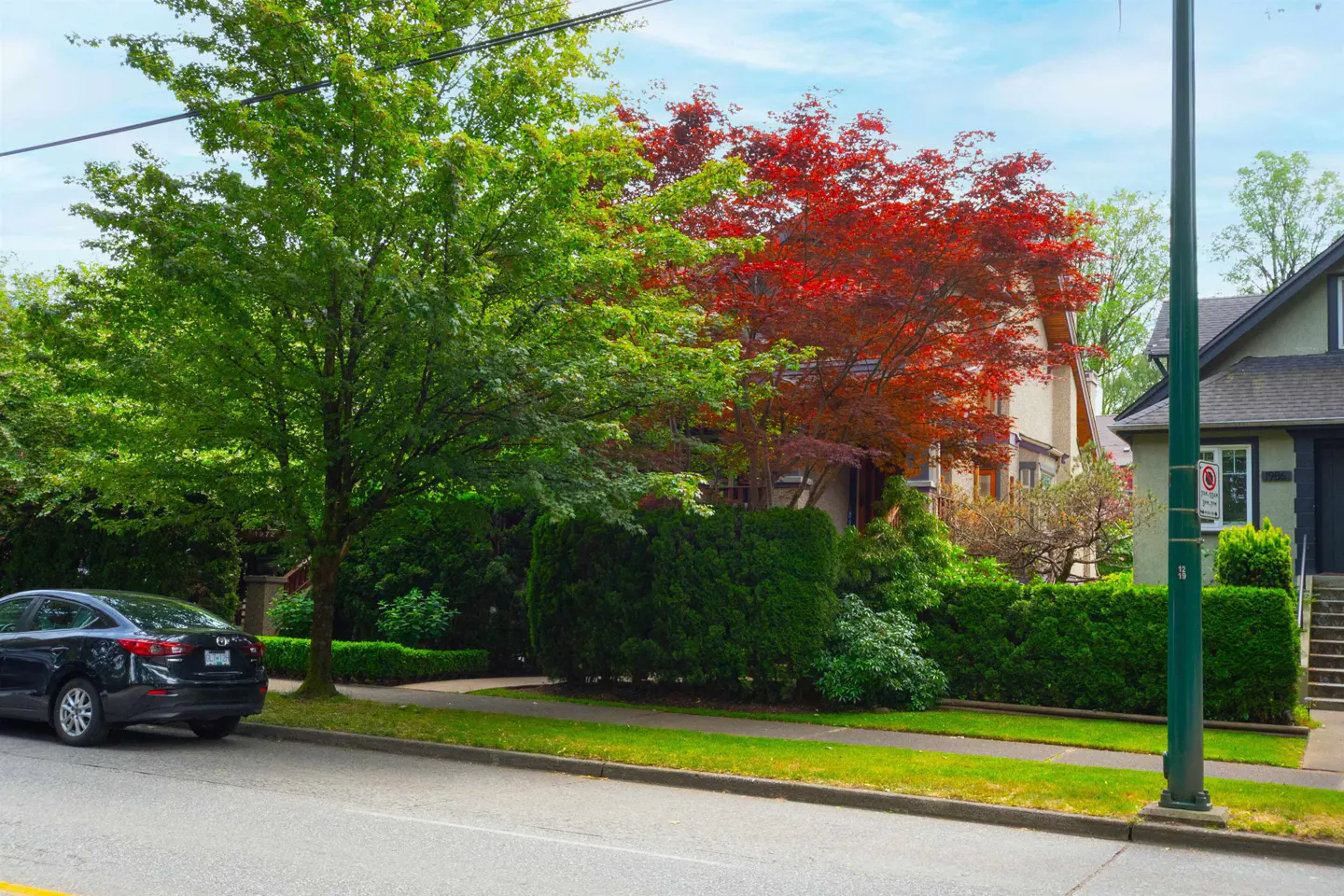 A house partially hidden by a vibrant red Japanese maple and green trees, with a black car parked on the street in front.