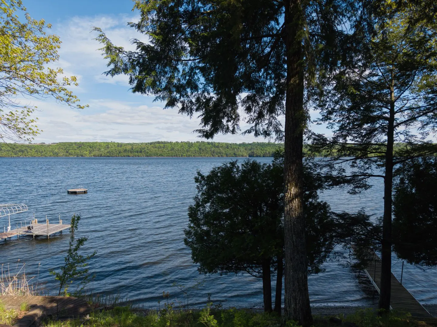Lake view framed by trees. A dock with a boat lift and a floating platform are on the water.